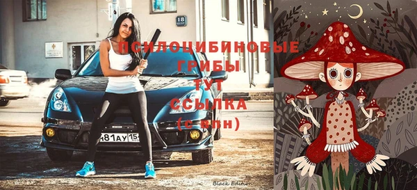 apvp Абинск