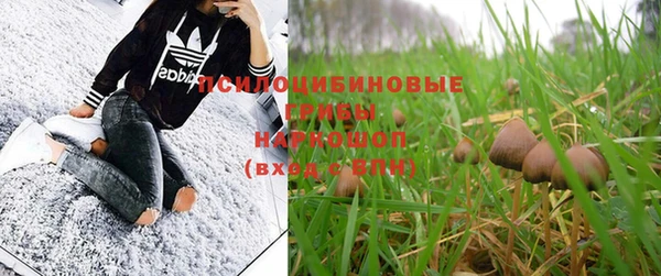 apvp Абинск