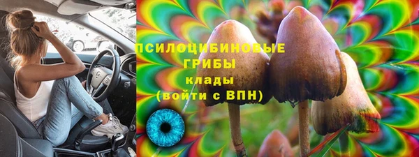 apvp Абинск