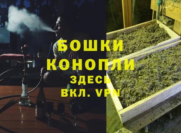 крисы Абдулино