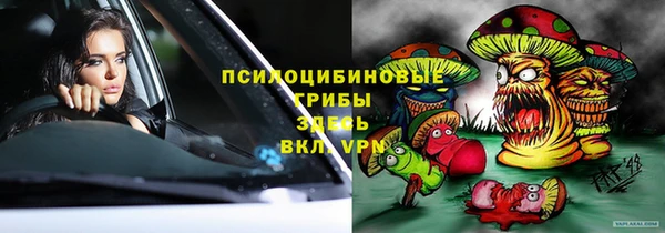 гашик Абаза