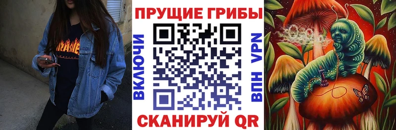 Галлюциногенные грибы Magic Shrooms  Александров 